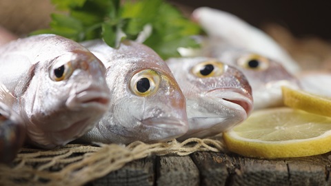 pesce fresco
